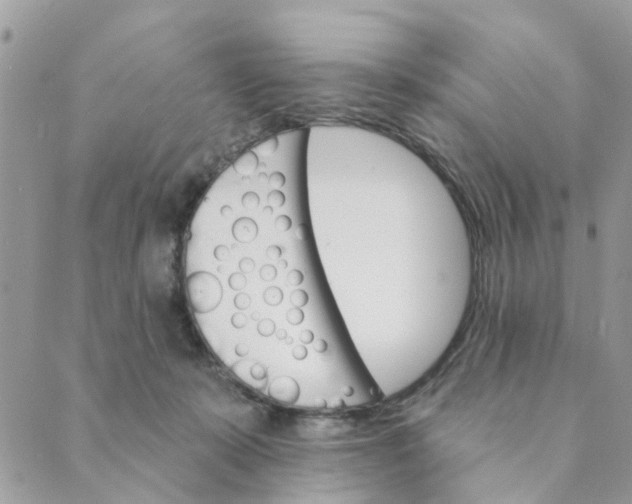 X0000089380319200707061145