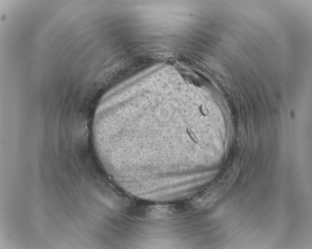 X0000089380320200707061145