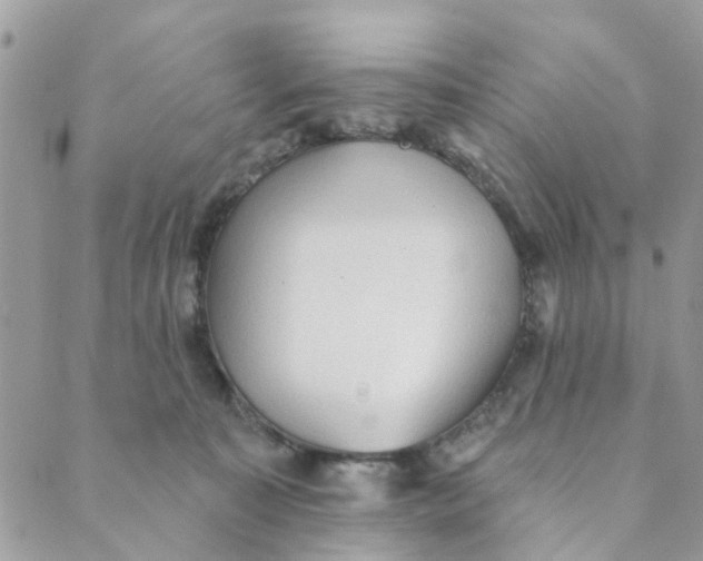 X0000089380323200707061145