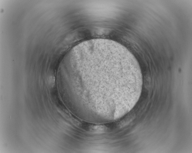 X0000089380324200707061145