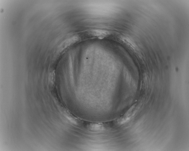 X0000089380325200707061145