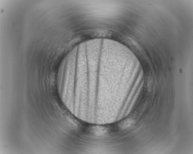 X0000089380326200707061145