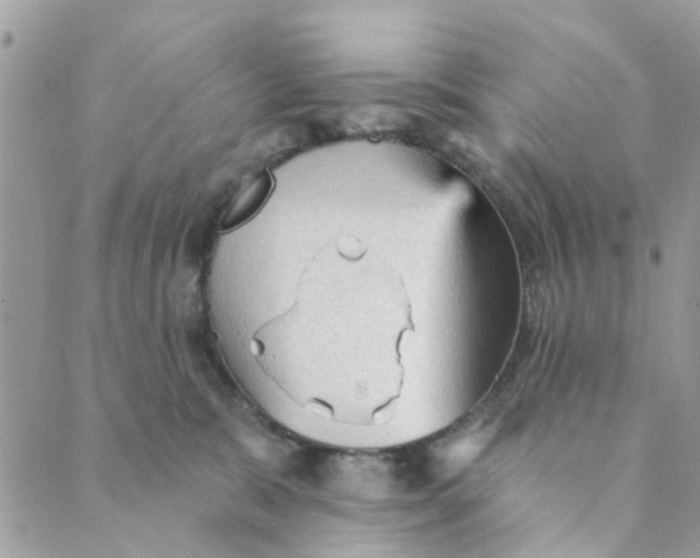 X0000089380327200707061145