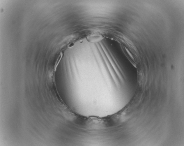 X0000089380329200707061145