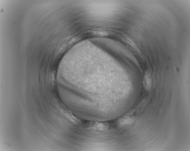 X0000089380330200707061145