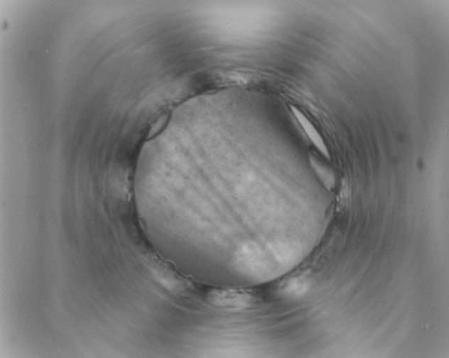 X0000089380331200707061145