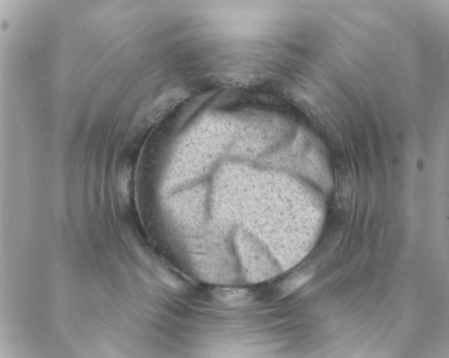 X0000089380334200707061145