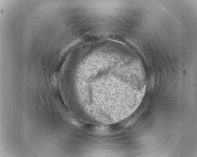 X0000089380335200707061145