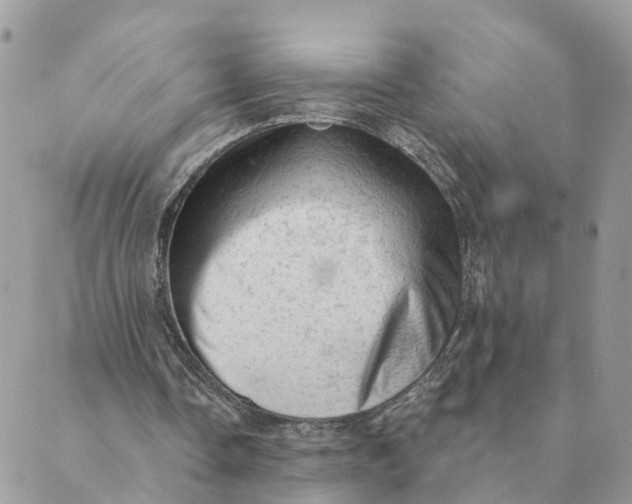 X0000089380338200707061144