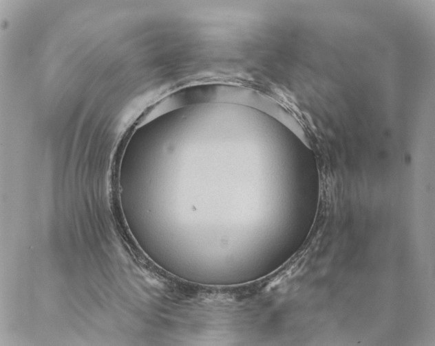 X0000089380340200707061144