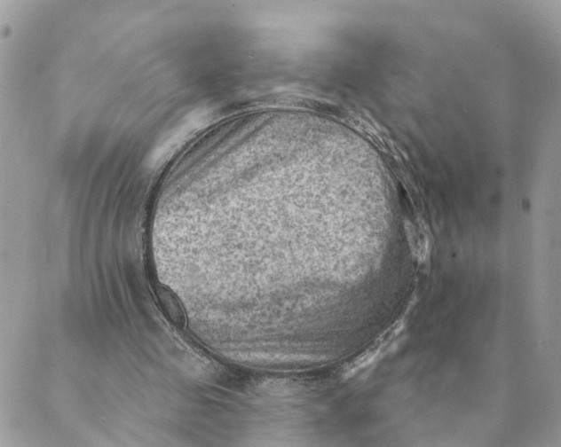 X0000089380341200707061144