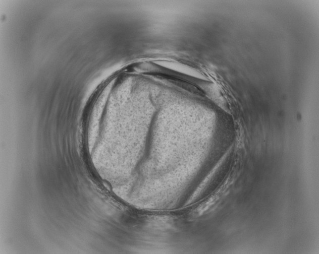 X0000089380342200707061144