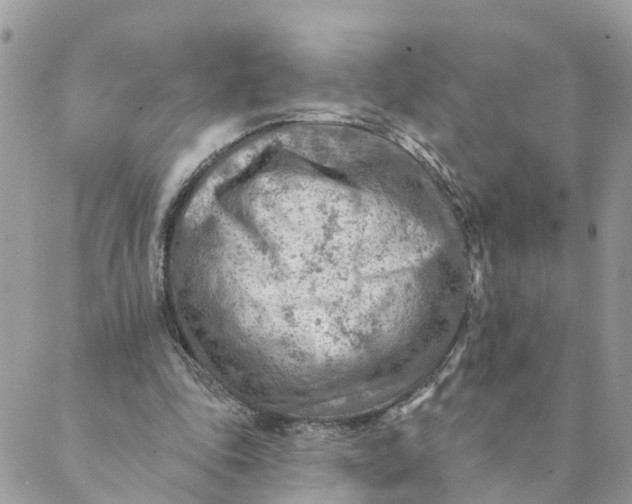 X0000089380343200707061144