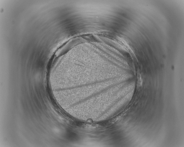 X0000089380346200707061144