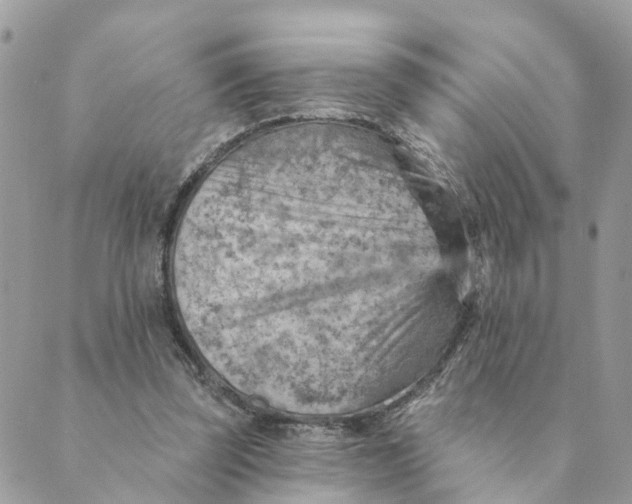 X0000089380347200707061144