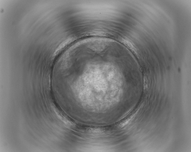 X0000089380349200707061144