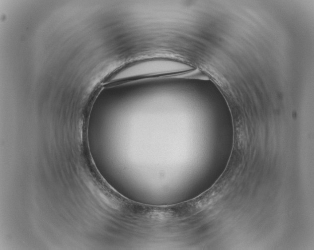 X0000089380350200707061144