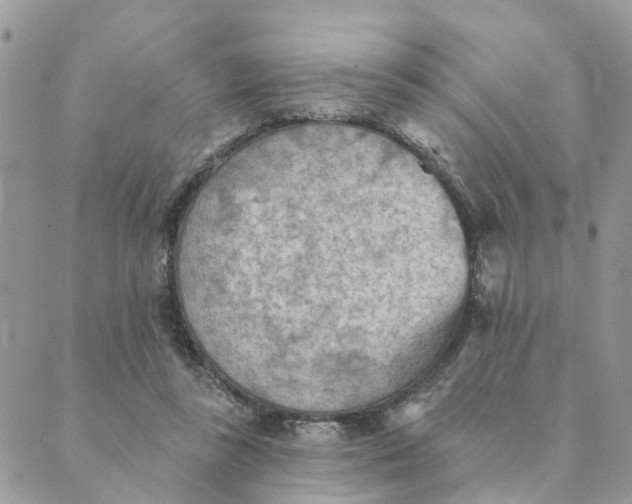 X0000089380355200707061145