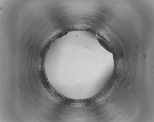 X0000089380356200707061145