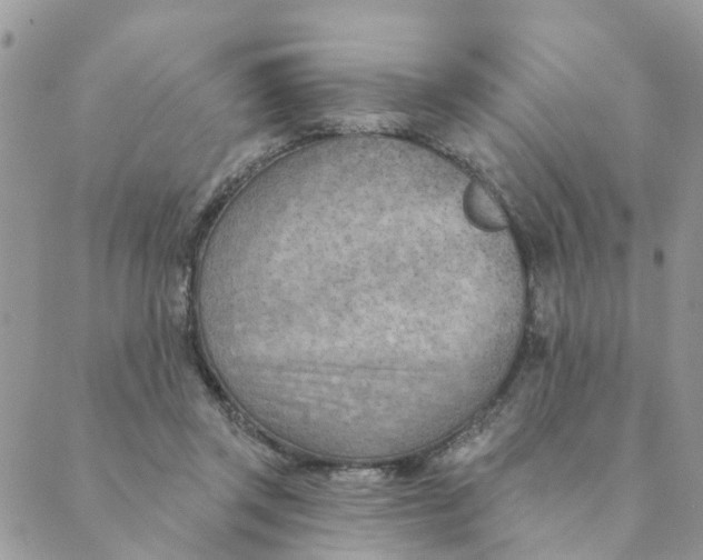 X0000089380357200707061145