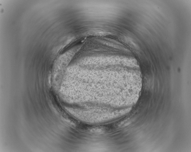 X0000089380358200707061145