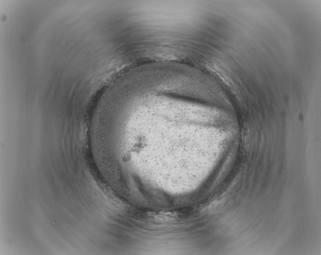 X0000089380359200707061145