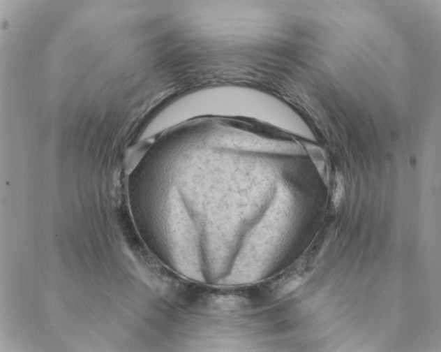 X0000089380360200707061145