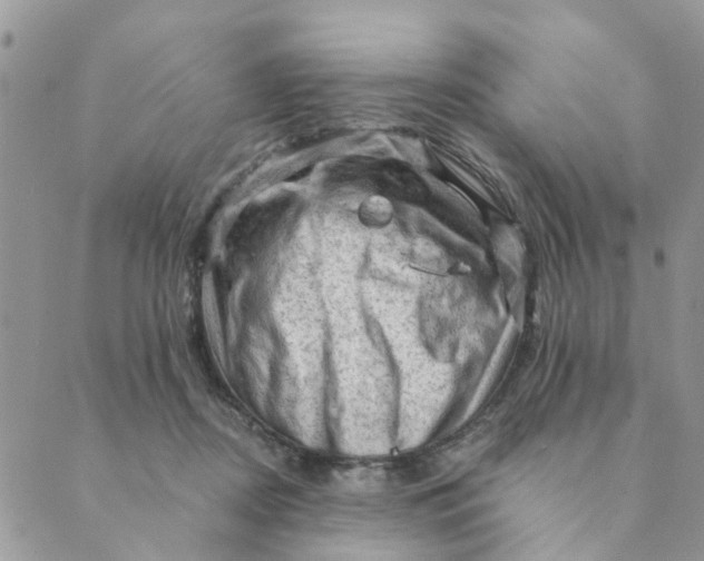 X0000089380362200707061145