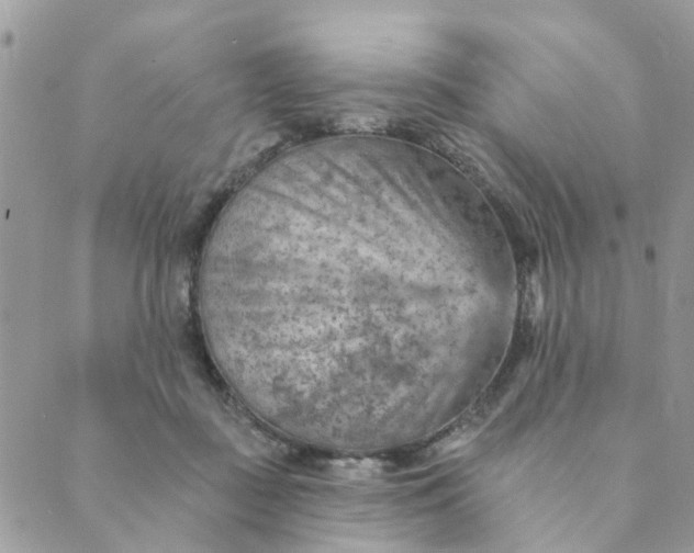 X0000089380363200707061145