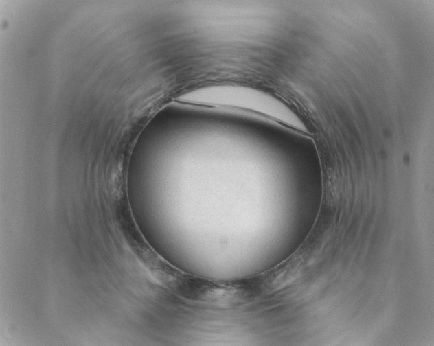 X0000089380364200707061145