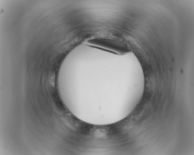 X0000089380368200707061145