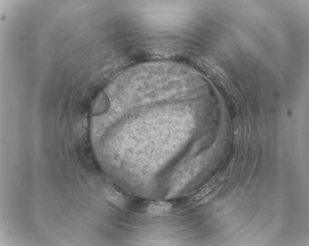 X0000089380369200707061145