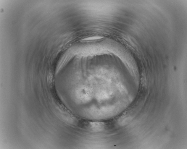 X0000089380371200707061145