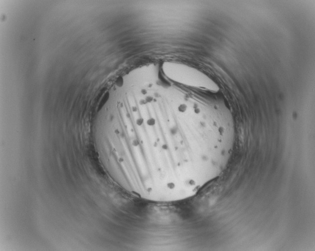 X0000089380372200707061145