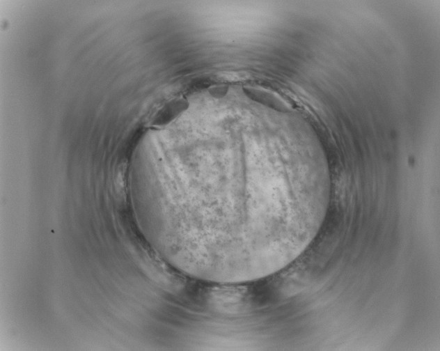 X0000089380373200707061145