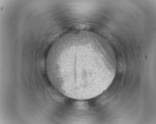 X0000089380375200707061145