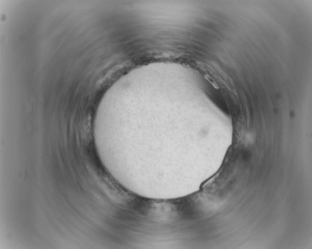 X0000089380376200707061145