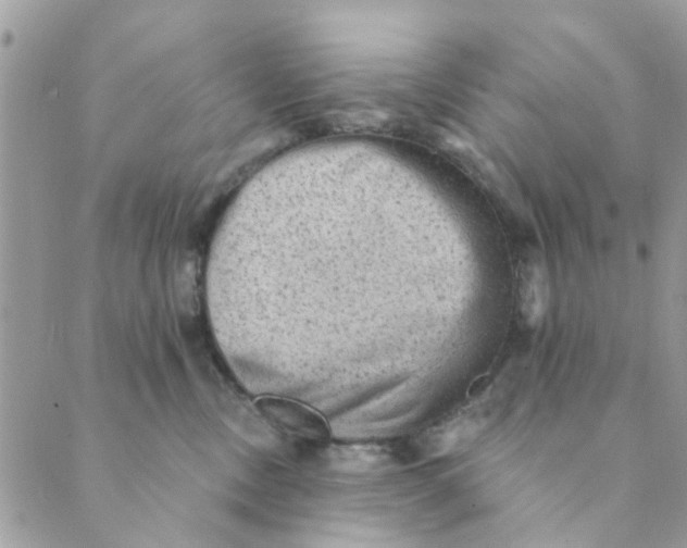 X0000089380378200707061145