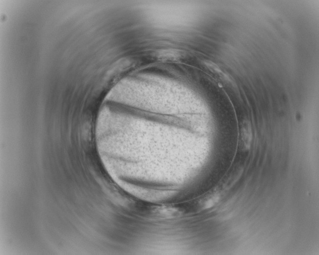 X0000089380379200707061145