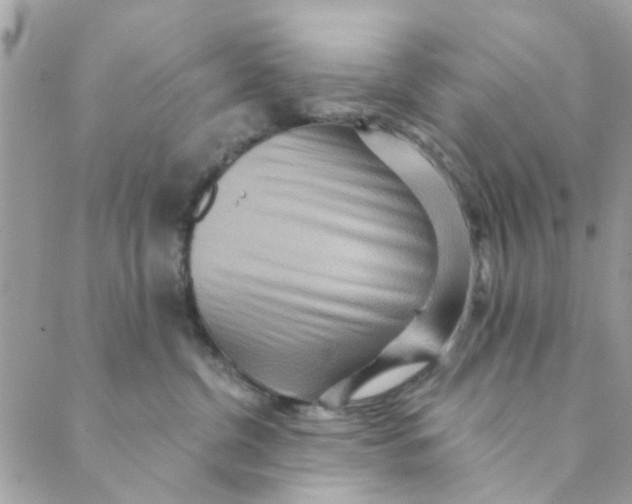 X0000089380380200707061145