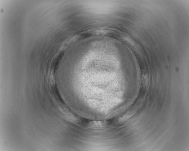 X0000089380381200707061145