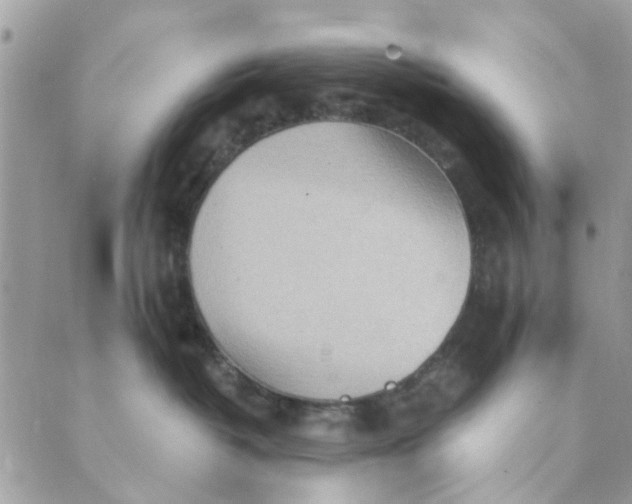 X0000089380382200707061145