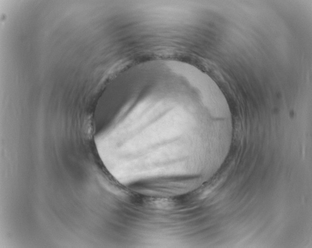 X0000089380383200707061145