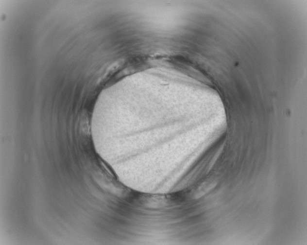 X0000089380384200707061145