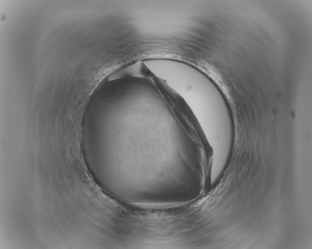 X0000089380385200707061144