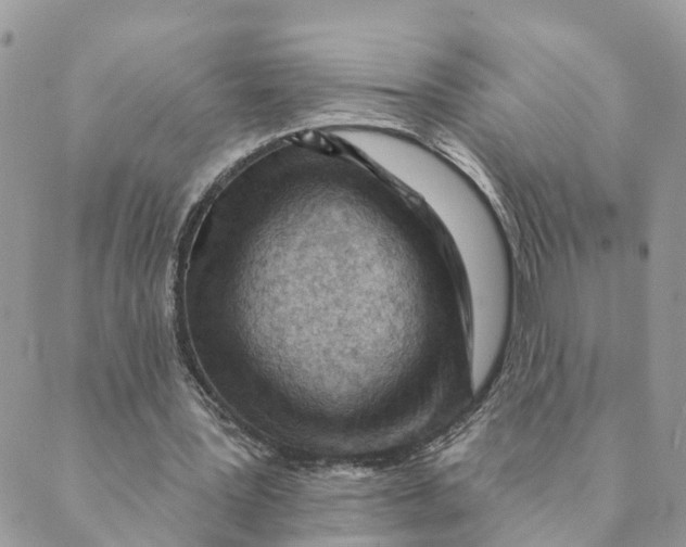 X0000089380387200707061144