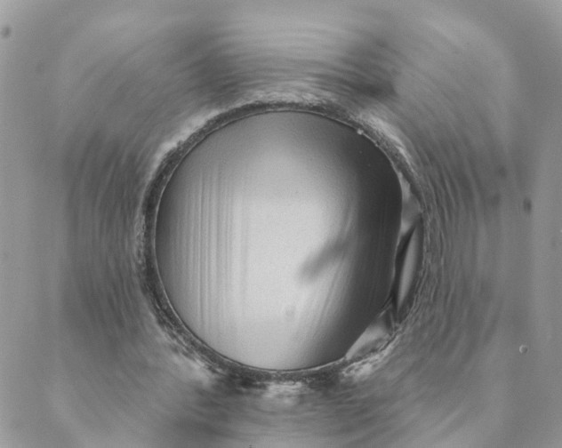 X0000089380388200707061144