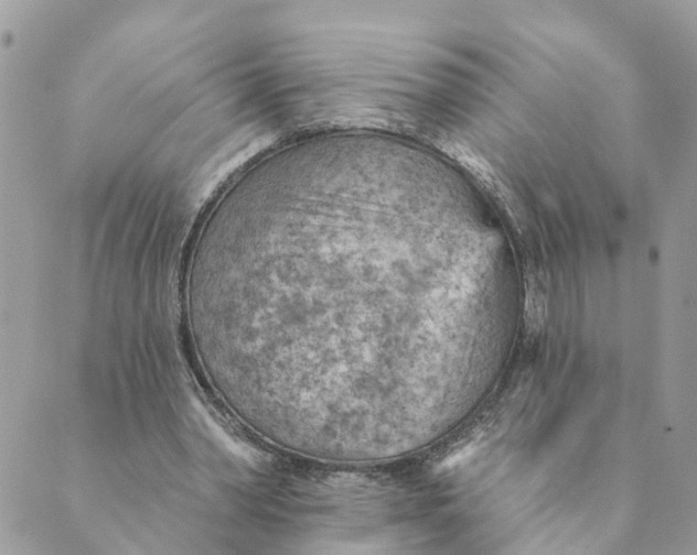 X0000089380390200707061144