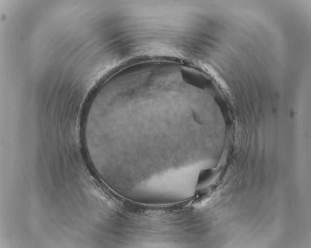 X0000089380391200707061144