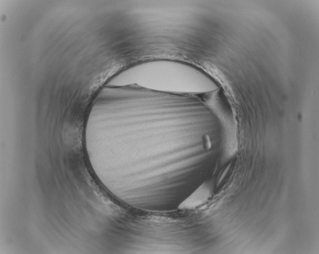 X0000089380393200707061144